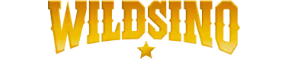 Wildsino Casino brand logo on dark background